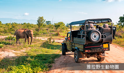 斯里蘭卡-雅拉國家公園